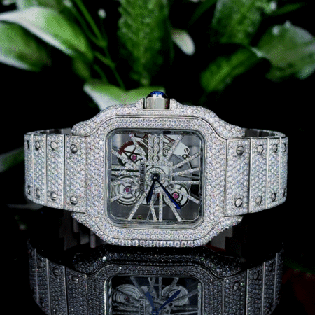 Krushnam's White Cartier Skeleton