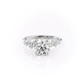 VVS1 Moissanite Round Cut Cluster Hidden Accent Ring