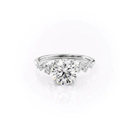 VVS1 Moissanite Round Cut Cluster Hidden Accent Ring